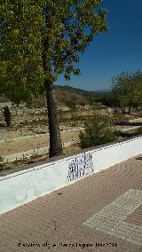 Paseo Virgen de la Consolacin. 