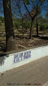 Paseo Virgen de la Consolacin. 