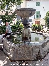 Fuente de la Plaza del Carmen. 