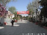 Plaza de la Constitucin de Villargordo. 