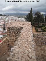 Alcazaba. Torren XXI. 