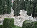 Alcazaba. Puerta Cristiana. 