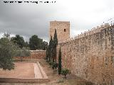 Alcazaba. Torre Blanca. 