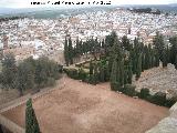 Alcazaba. Patio de Armas. 