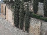 Alcazaba. Murallas de Levante. 