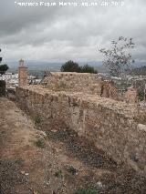 Alcazaba. Torren VIII. 