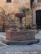 Fuente de los Remedios. 