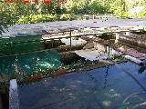 Piscifactora de Ro Borosa. Piscinas para la cra de la trucha