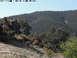 Cerro de la Maleza. 