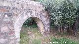 Acueducto de la Canalizaci�n. 