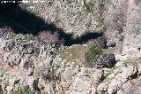 Cerro Castelln. Meseta