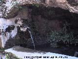 Fuente Elvira. 