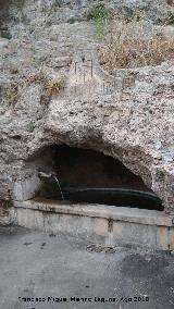 Fuente Elvira. 