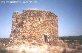 Castillo Torrevieja. 