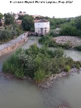 Sotos de la Albolafia. Molino de San Antonio