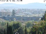 Puente de San Rafael. 