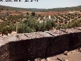 Trincheras del Berral. Puestos de tiro hacia el puente