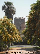 Torre de Sotogrande. 