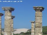 Baelo Claudia. Baslica. Capiteles