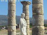 Baelo Claudia. Baslica. Restos de estuco en las columnas
