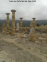 Baelo Claudia. Baslica. 