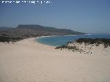 Duna de Bolonia. Playa de Bolonia desde la duna