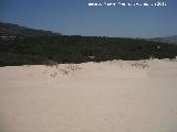 Duna de Bolonia. Sierra de la Plata desde la duna