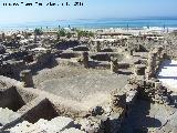 Baelo Claudia. Fbricas de Salazn