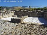 Baelo Claudia. Tabernae del Decumanus Maximus. 