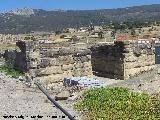 Baelo Claudia. Puerta de Carteia