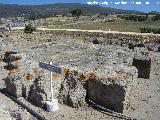 Baelo Claudia. Necrpolis