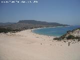 Playa de Bolonia. Desde la Duna de Bolonia