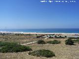 Playa de Bolonia. 