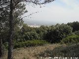 Cerro Miguelico. Al fondo Torredelcampo