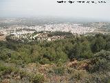 Cerro Miguelico. Torredelcampo