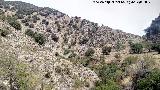 Cerro del Tercero. Afloramientos de estratos