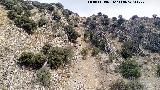 Cerro del Tercero. Afloramientos de estratos