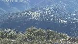 Cerro de la Fresnedilla. Desde las Lomas de Carboneros