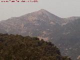 Cerro de la Horca. Desde el Cordel de Jan en Campillo de Arenas