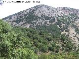 Cerro La Solana