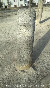 Plaza de Toros de Baeza. Fuste de granito