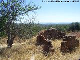 Cortijo de Canuto. Edificacin anexa