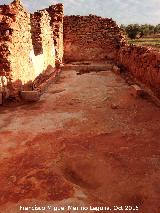 Cortijo de Canuto. 