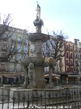 Fuente de Neptuno. 