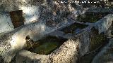 Fuente Lavadero del Dornajuelo