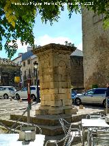 Fuente de la Puerta de beda. 