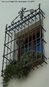 Casa de la Calle Gins Gmez n 3. Reja de rosetas