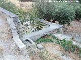 Alberca del Puente Bajo