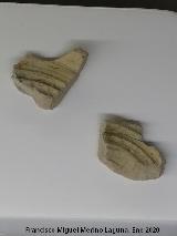 Palacio ibero del Cerro de la Merced. Fragmento de cuenco en cer�mica vidriada con decoraci�n de verde manganeso. Siglo XIX d.C. Exposici�n Museo Ibero Ja�n