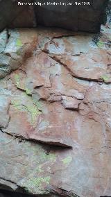 Pinturas rupestres del Arroyo de Martn Prez II. Panel